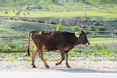 Similar image 22578751