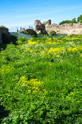 Similar image 22578753