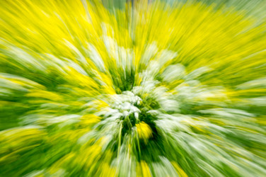 Similar image 22578765