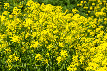 Similar image 22578768