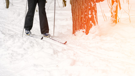 Similar image 22492518