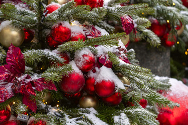 Similar image 22492563