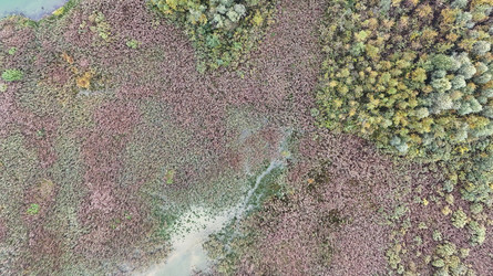 Similar image 22492592