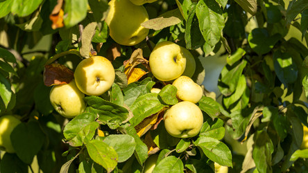 Similar image 22492353