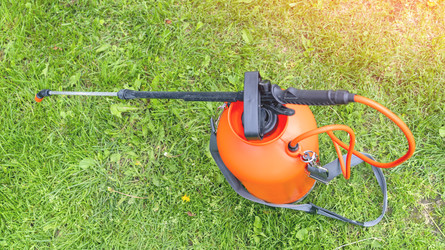 Similar image 22492354