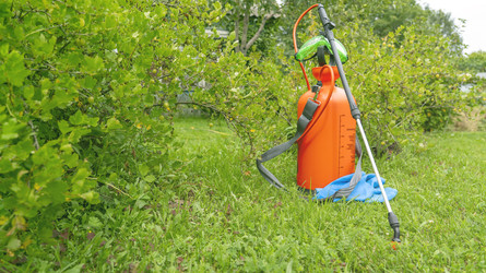 Similar image 22492381