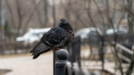 Similar image 22492414