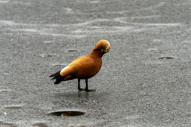 Similar image 22492432