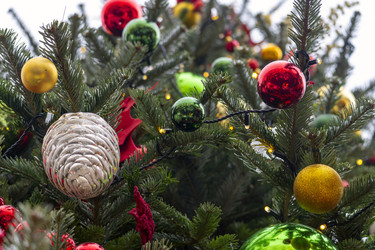 Similar image 22492465