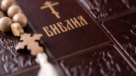 Similar image 22492475