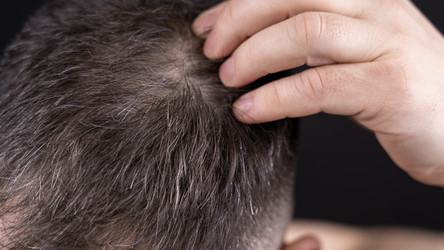 Similar image 22492484