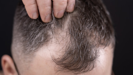 Similar image 22492485