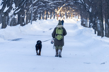 Similar image 22492570