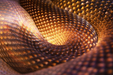 Similar image 22501839