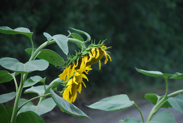 Similar image 22477748