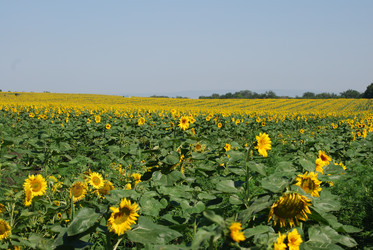 Similar image 22477749