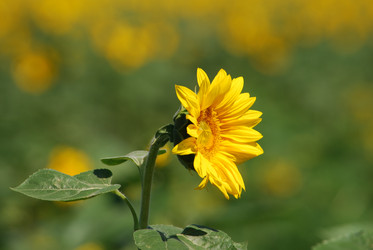 Similar image 22477751