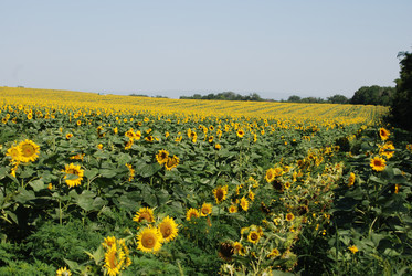 Similar image 22477752