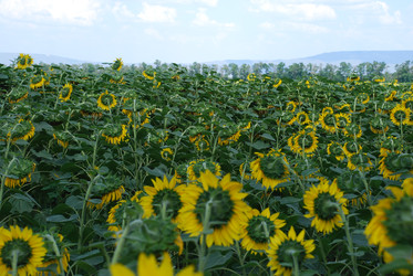 Similar image 22477755