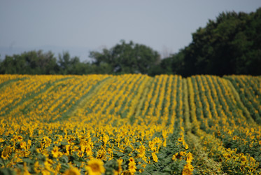 Similar image 22477756