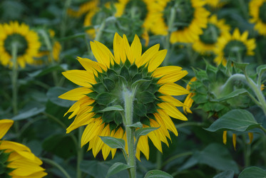 Similar image 22477763