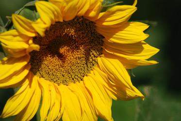 Similar image 22477769