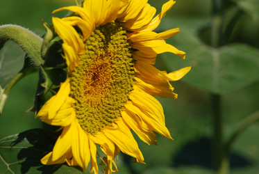 Similar image 22477770