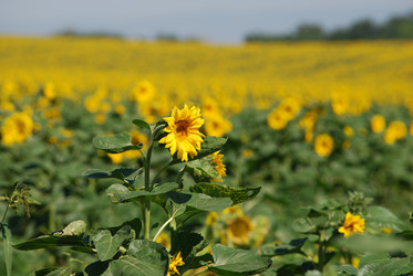 Similar image 22477771