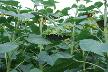 Similar image 22477773