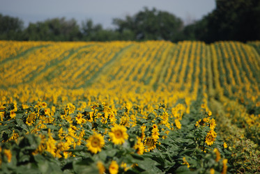 Similar image 22477774