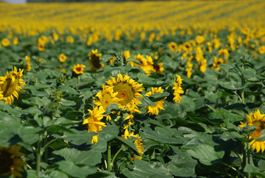 Similar image 22477775