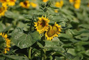 Similar image 22477776