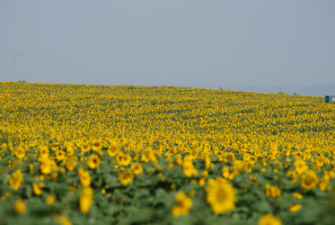 Similar image 22477778