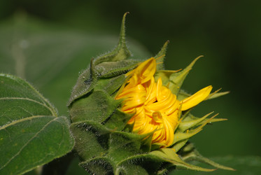 Similar image 22477779