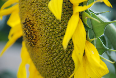 Similar image 22477781