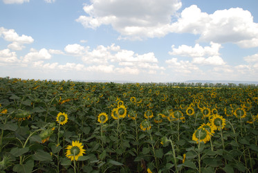 Similar image 22477782