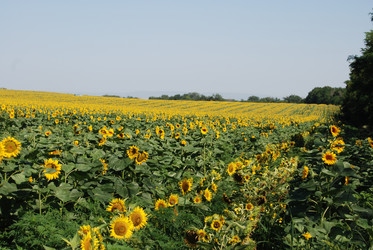 Similar image 22477783