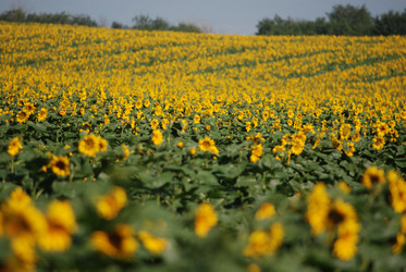 Similar image 22477785