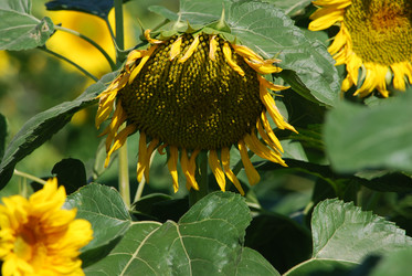 Similar image 22477787