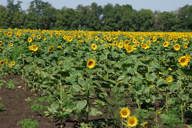 Similar image 22477788