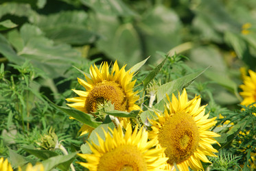 Similar image 22477789