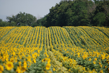 Similar image 22477791