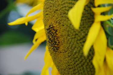 Similar image 22477792