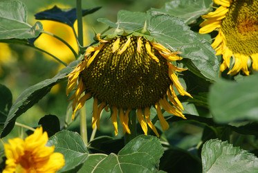 Similar image 22477794