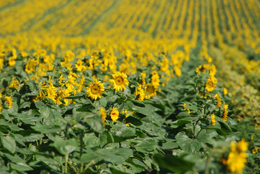 Similar image 22477795