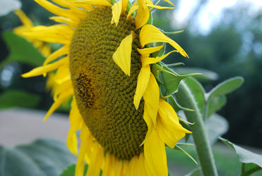 Similar image 22477796