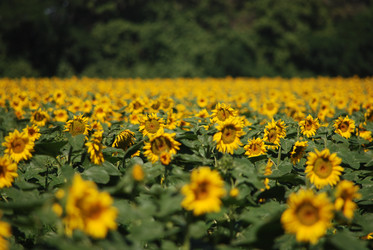 Similar image 22477797