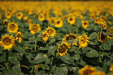 Similar image 22477798