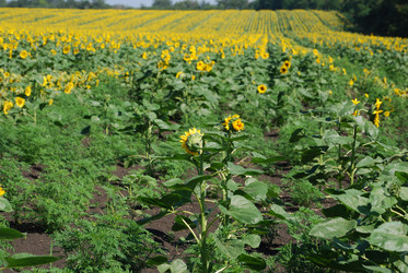 Similar image 22477799