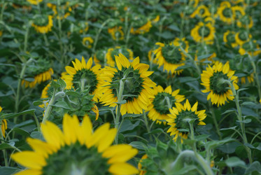 Similar image 22477800